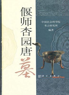 湯姆天地怎麼樣？從不同視角探討其魅力